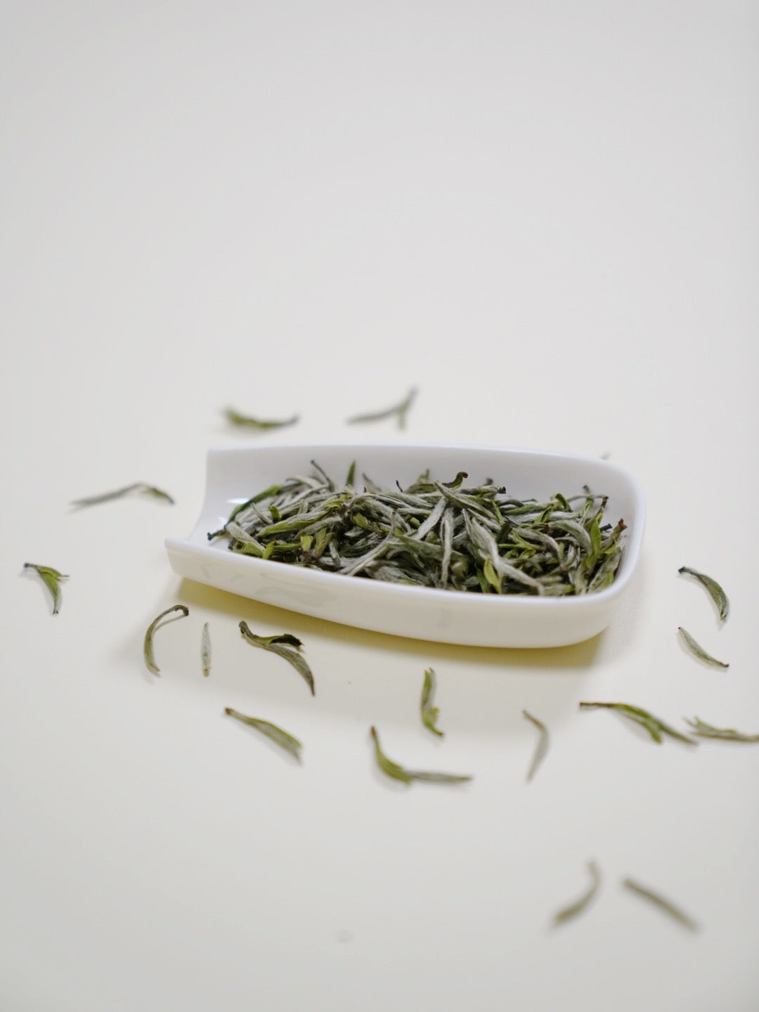 中国白茶 中国白茶的4 个主要分类| 赵赵的茶| 邀您共享茶文化– ZhaoTea