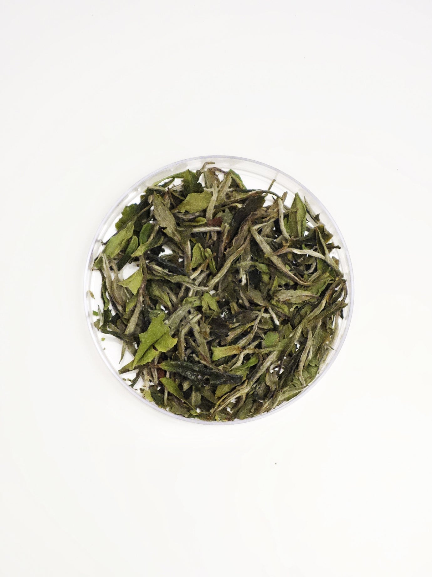 Why Do People Love Aged White Tea? How to store white tea?
