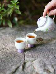 How to do Gongfu Pao through teapot? (Teapot Brewing)