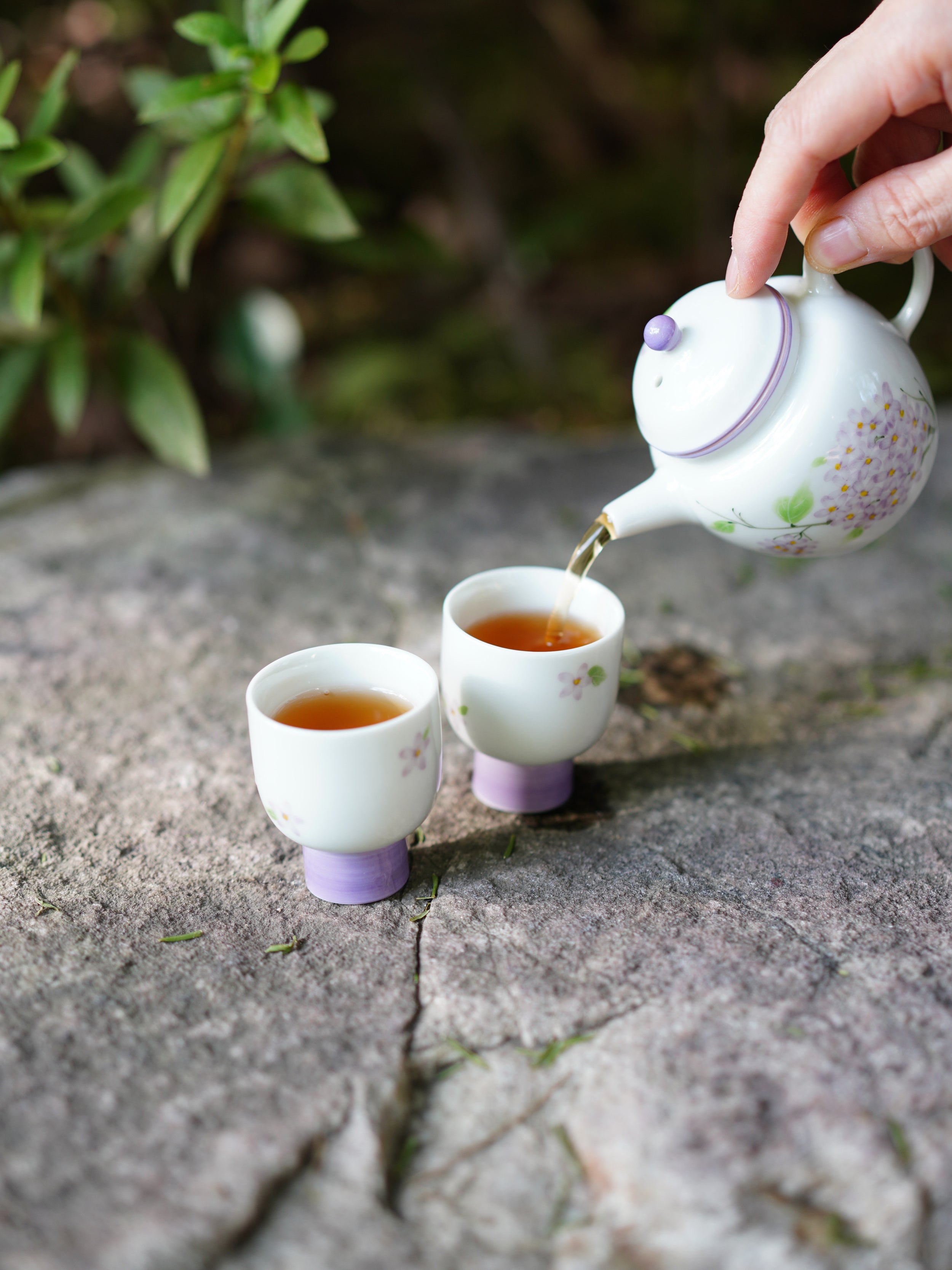 A Guide to Choosing Tea for Sensitive Stomachs