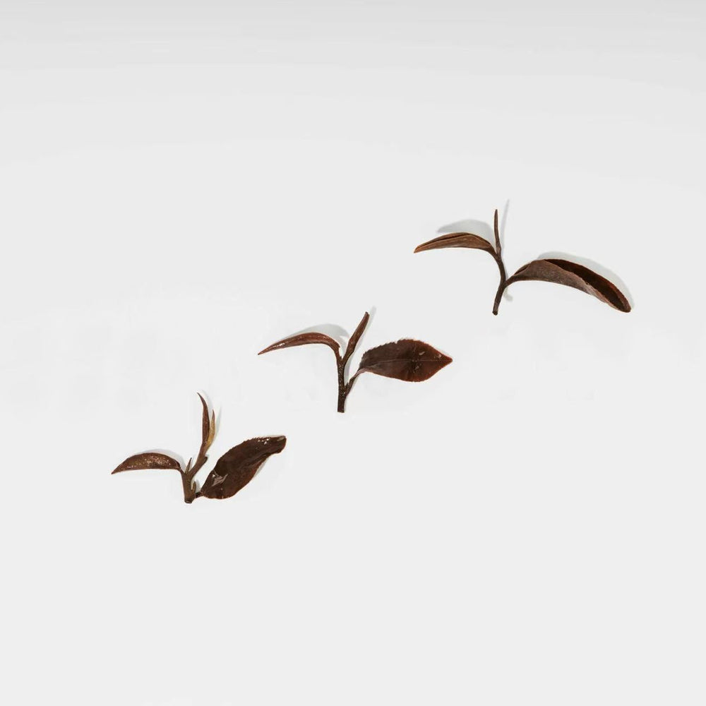 经典 东方美人