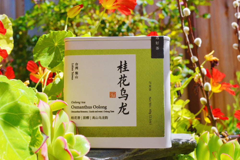 Osmanthus Oolong Tea 桂花乌龙