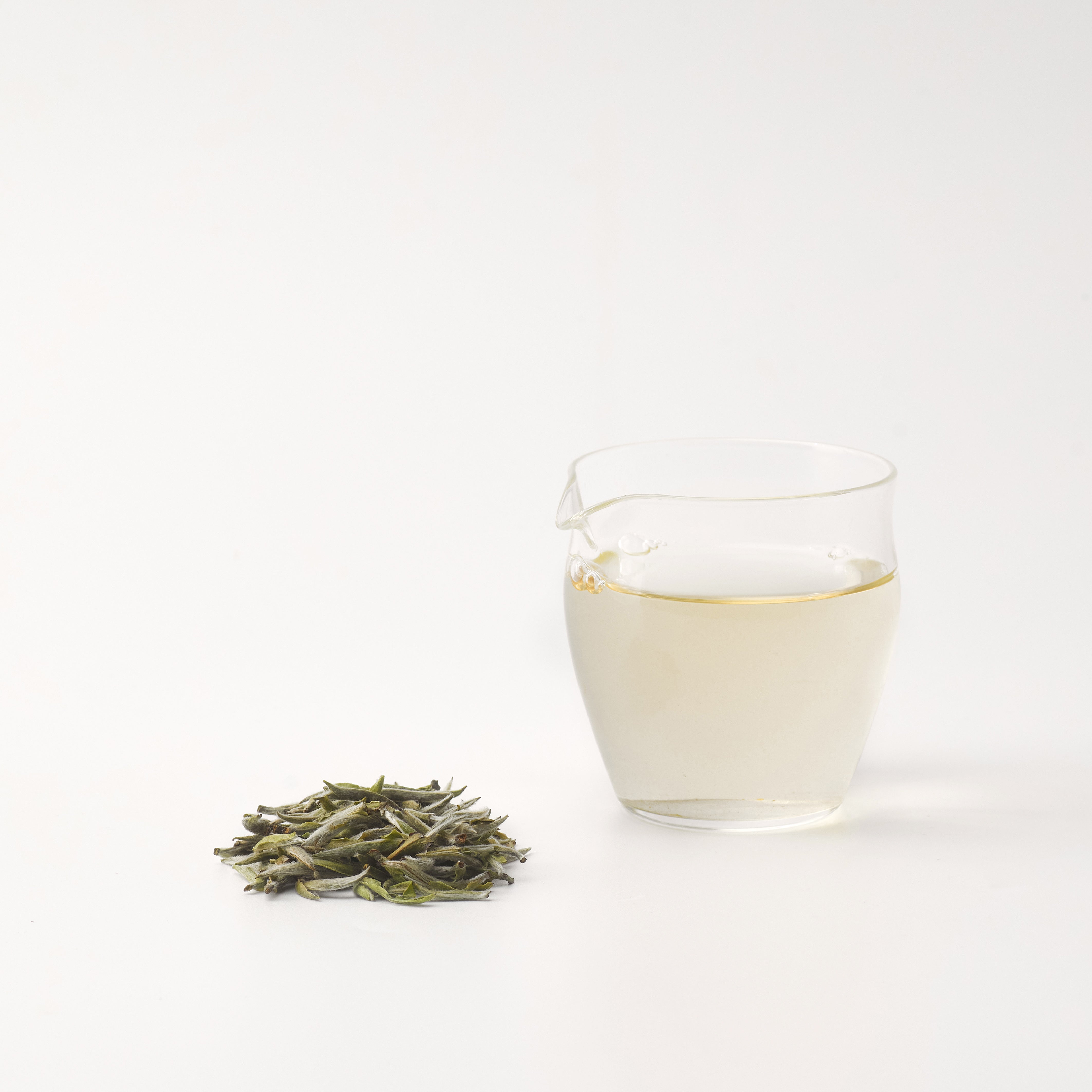 头采白毫银针| 赵赵的茶| 邀您共享茶文化– ZhaoTea – ZhaoTea LLC USA