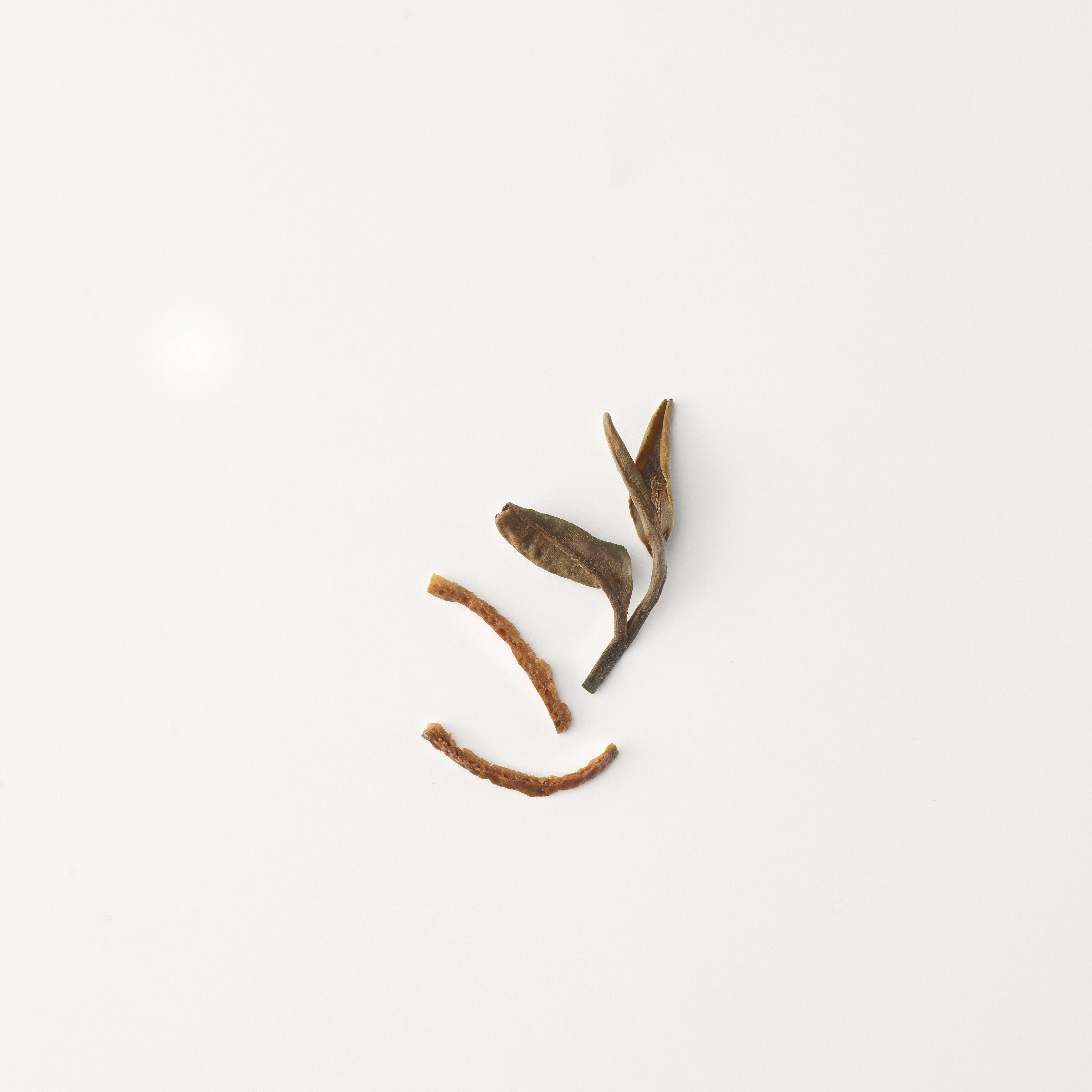 陈皮白茶| 赵赵的茶| 邀您共享茶文化– ZhaoTea – ZhaoTea LLC USA