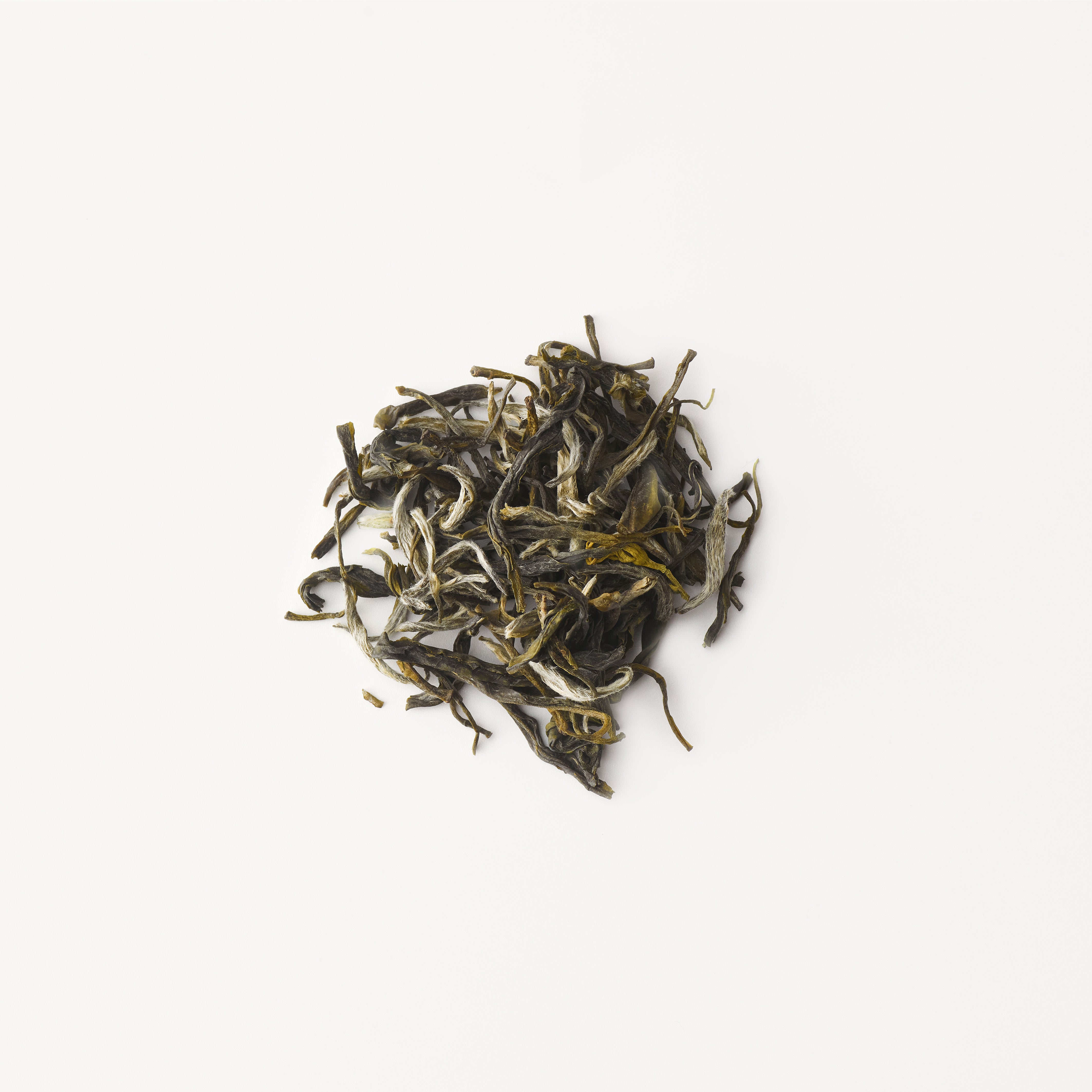 茉莉白毫| 赵赵的茶| 邀您共享茶文化– ZhaoTea – ZhaoTea LLC USA