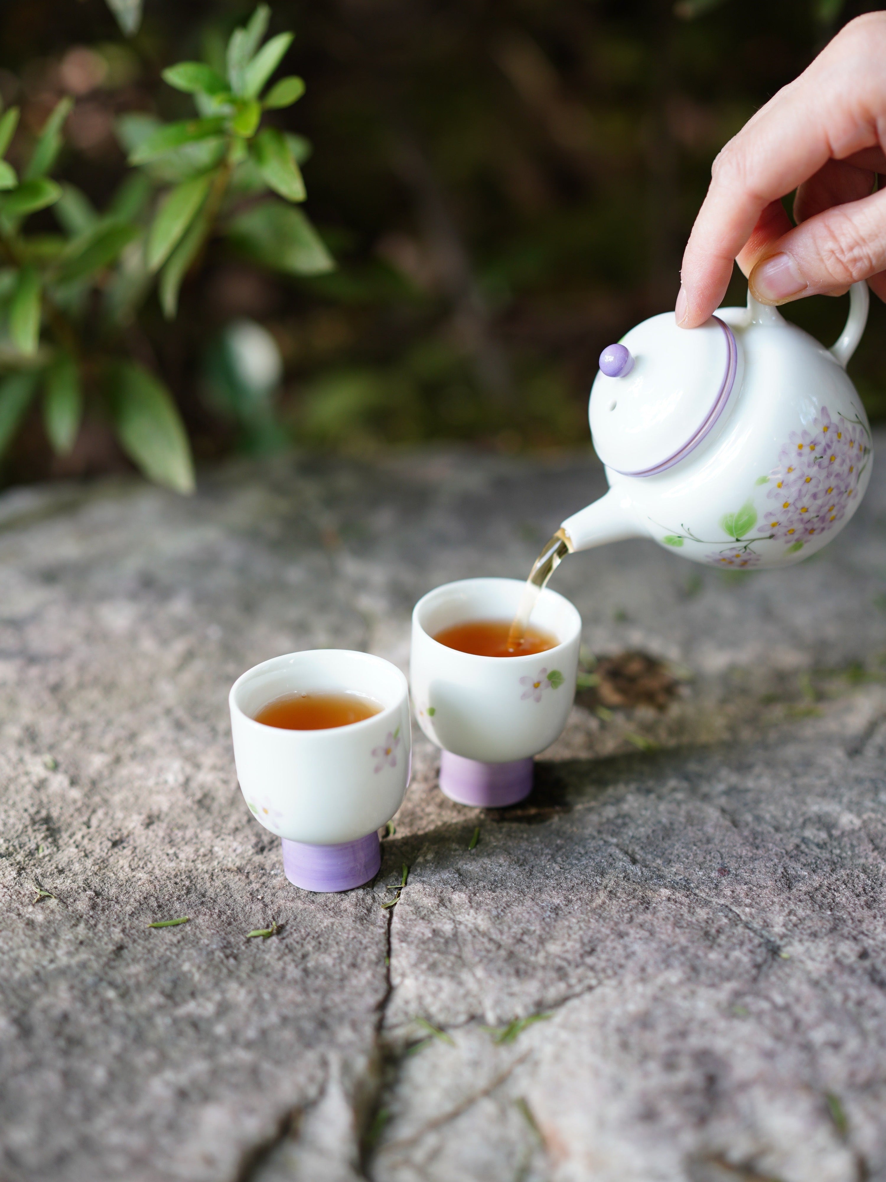 花香小种红茶
