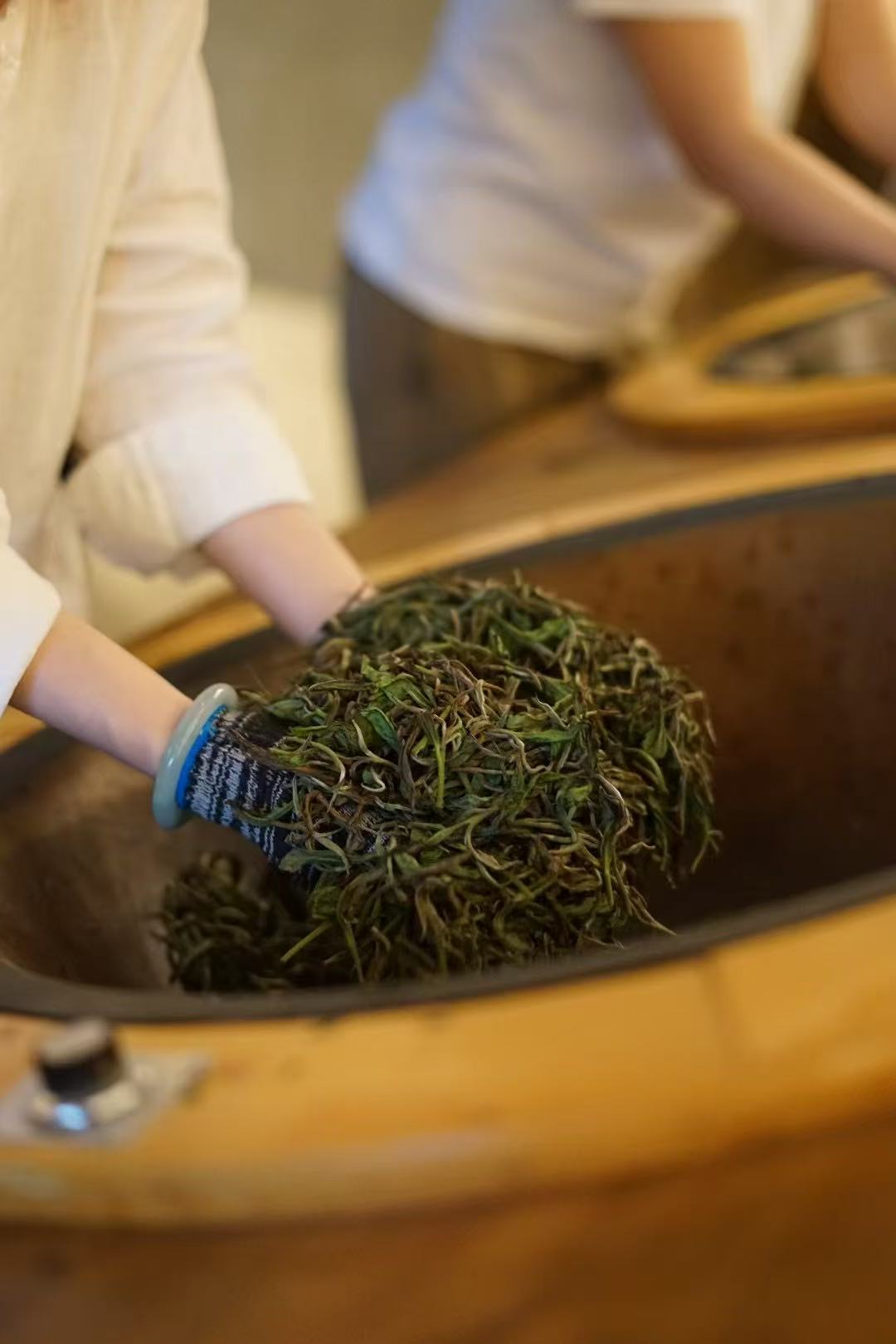 Wuyi Rock Tea | Rougui 武夷岩茶·正岩肉桂